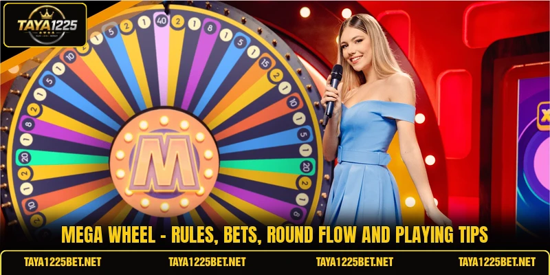 Mega Wheel - Rules, Bets, Round Flow And Playing Tips