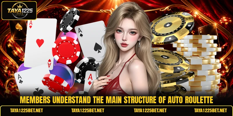Members understand the main structure of auto roulette