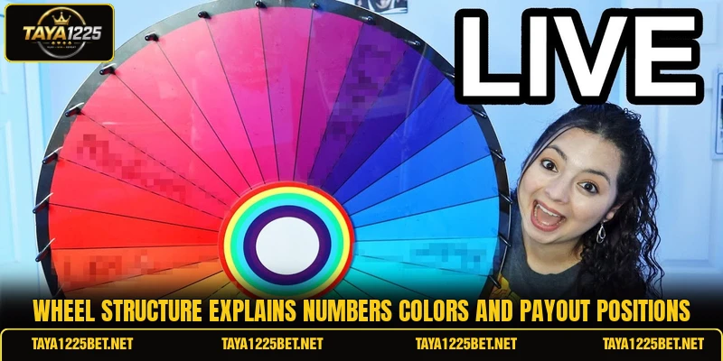 Wheel structure explains numbers colors and payout positions